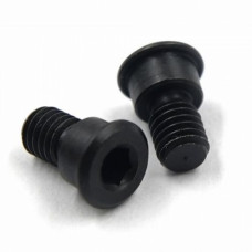 XPRESS Top Deck Screw 2pcs