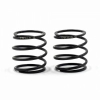 XPRESS Barrel Spring 5.0P 19N 2pcs