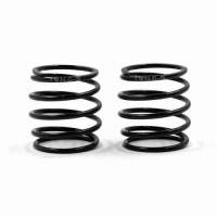 XPRESS Barrel Spring 5.5P 19N 2pcs